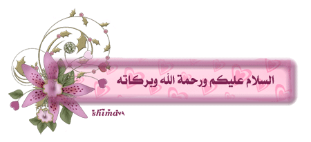 :	12977928841120.gif
: 406
:	49.5 