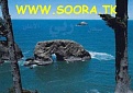Click image for larger version

Name:	SOORA_99_97.jpg
Views:	223
Size:	16.7 كيلوبايت
ID:	178476