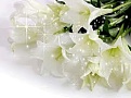 Click image for larger version

Name:	images.jpeg
Views:	588
Size:	6.6 كيلوبايت
ID:	178833
