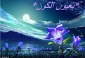 Click image for larger version

Name:	عيون الكون (216 x 147).jpg
Views:	577
Size:	13.6 كيلوبايت
ID:	179247
