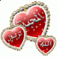   nasiba