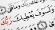   selm@ni