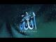 ������ ������� salim religion